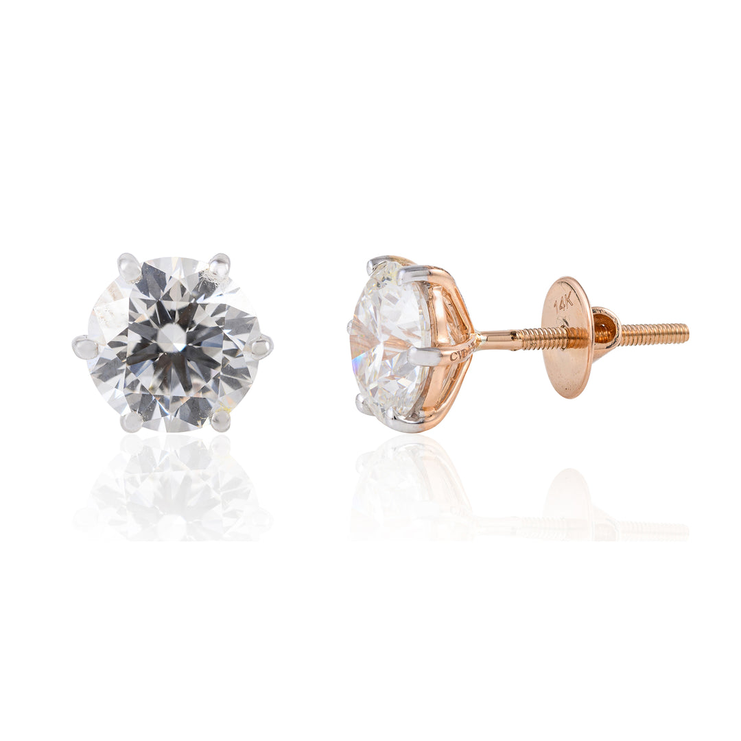 6 Prong Studs
